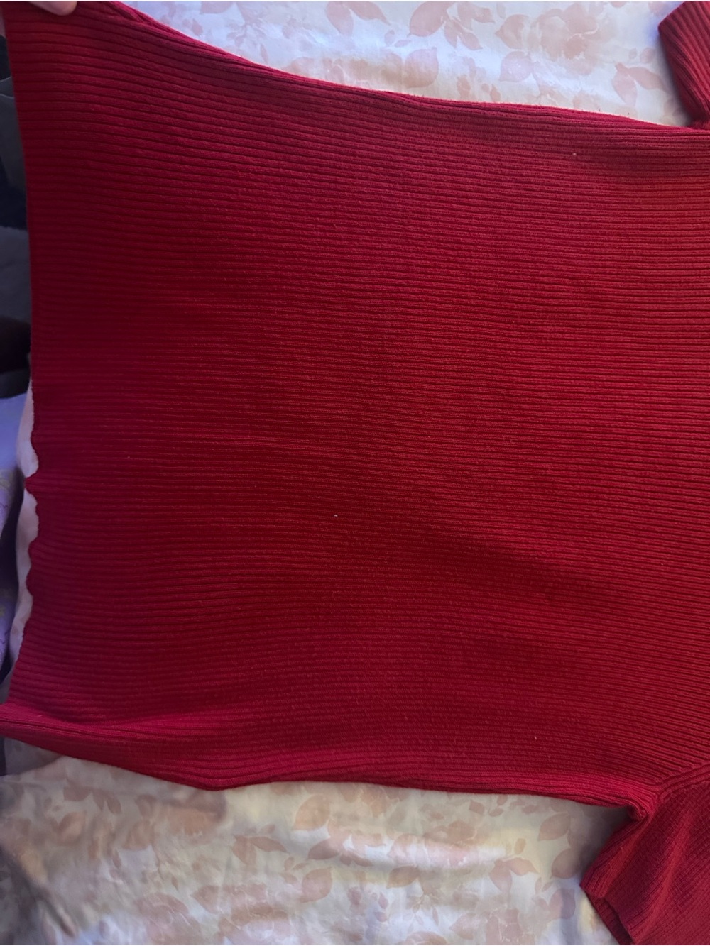 Red Ribbed Short Sleeve Sweater - Picture 4 of 5